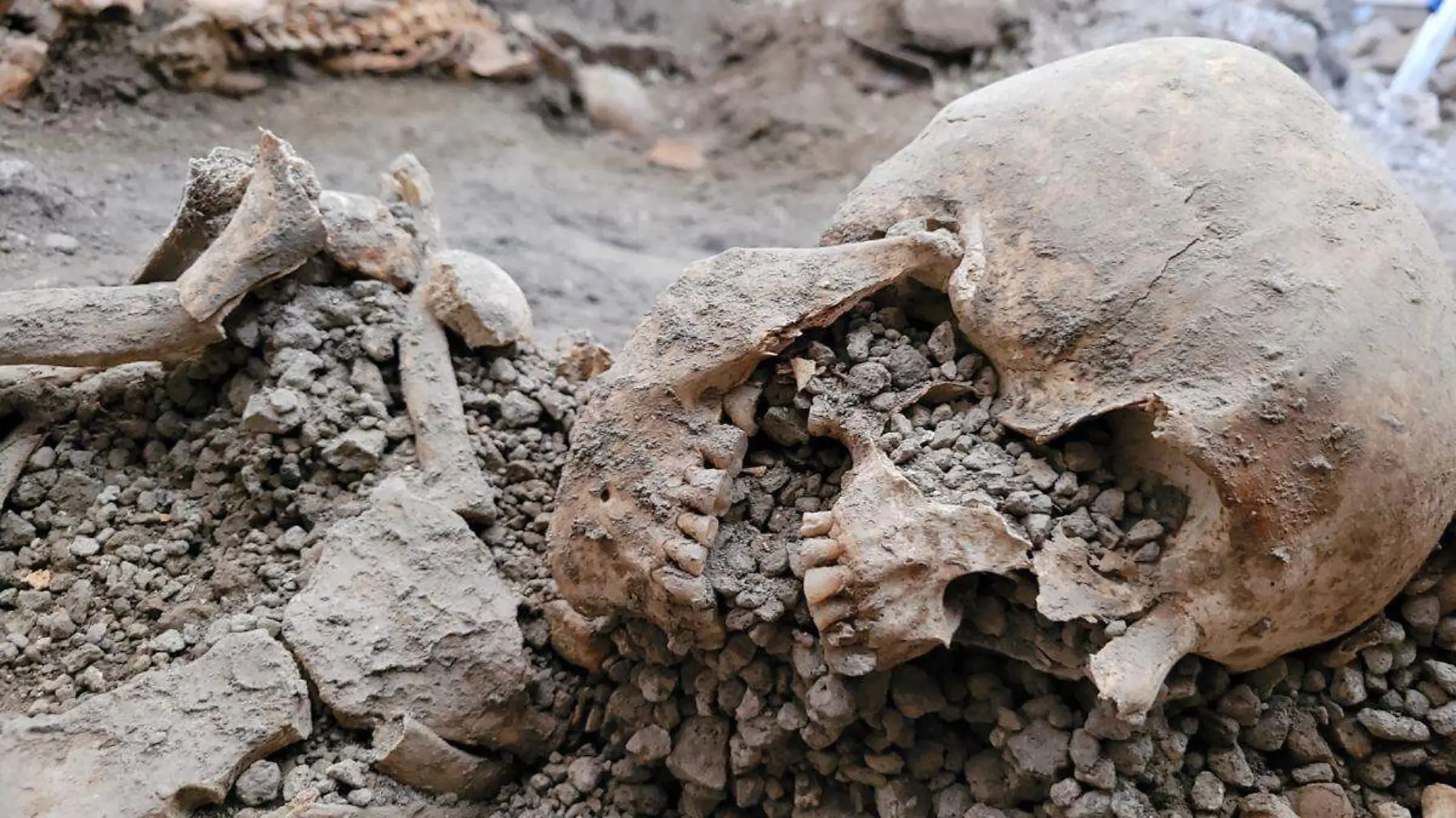 Hallan restos óseos de dos personas en Pompeya que murieron por el terremoto del Vesubio